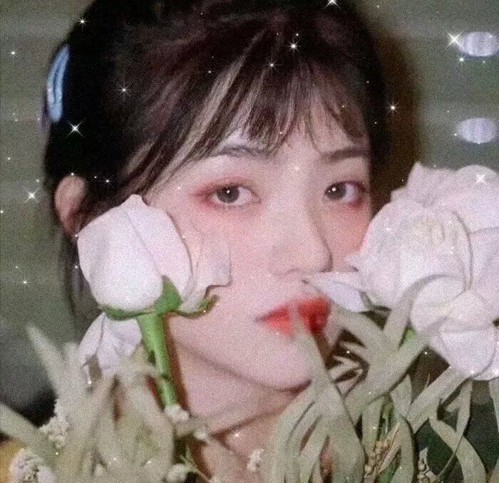 蓝徽特攻队